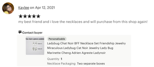 Ladybug Friendship Necklace Set